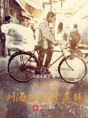 四合院,刘海柱的修车铺
