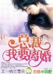 总裁,我要离婚