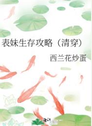 表妹生存攻略(清穿)